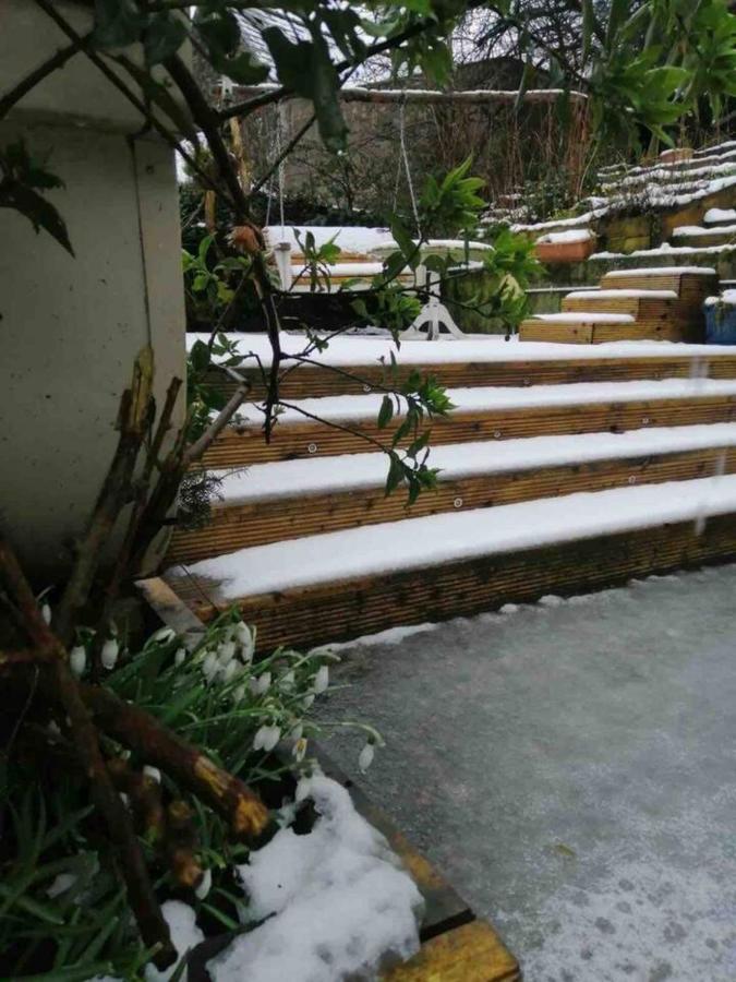 Midden Manor Country Stay On A Working Dairy Farm Ballymena Ngoại thất bức ảnh